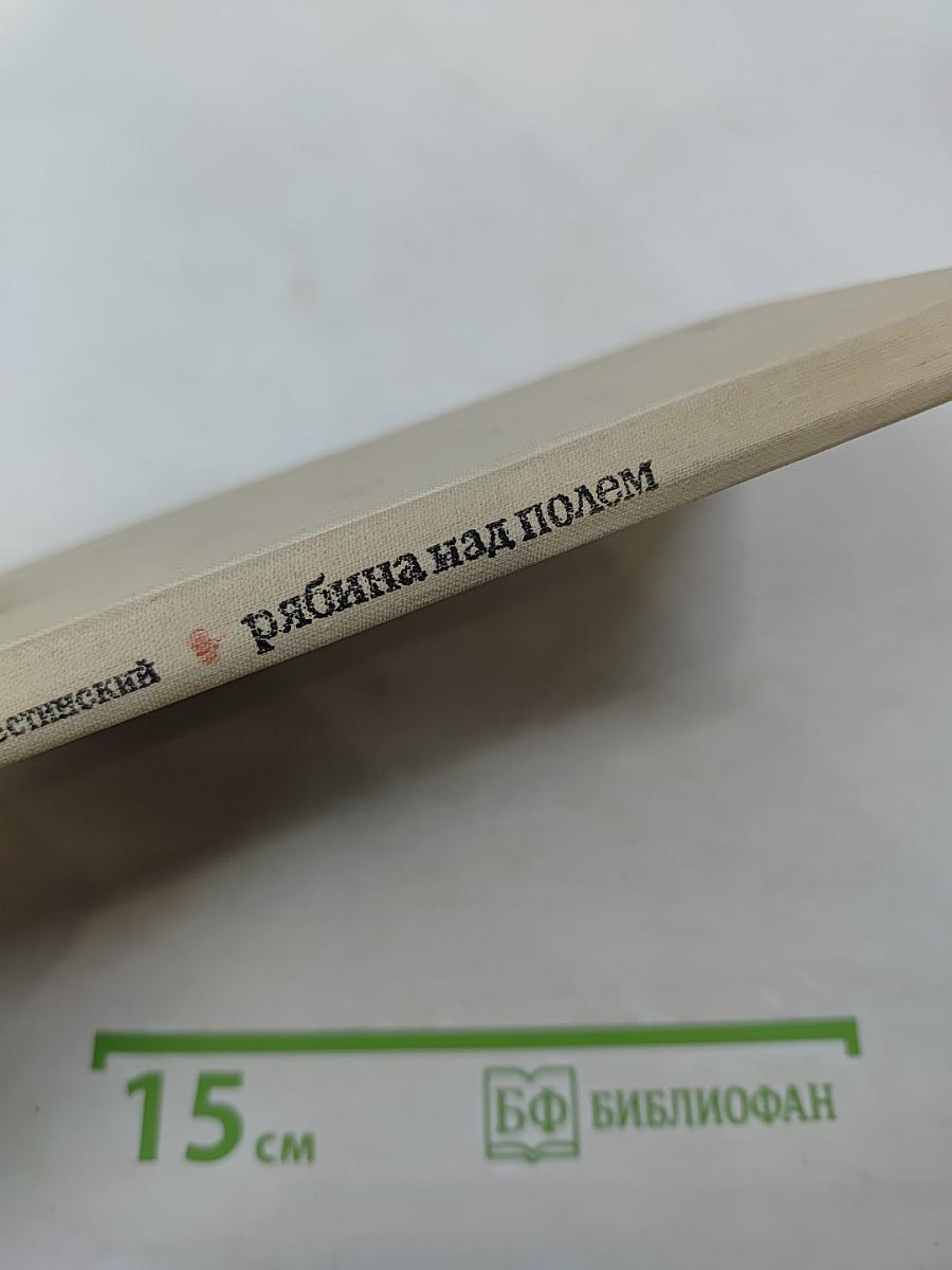 Рябина над полем