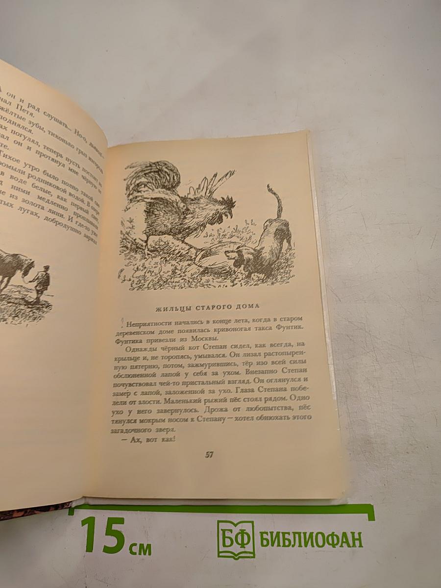 Заячьи лапы. Рассказы и сказки