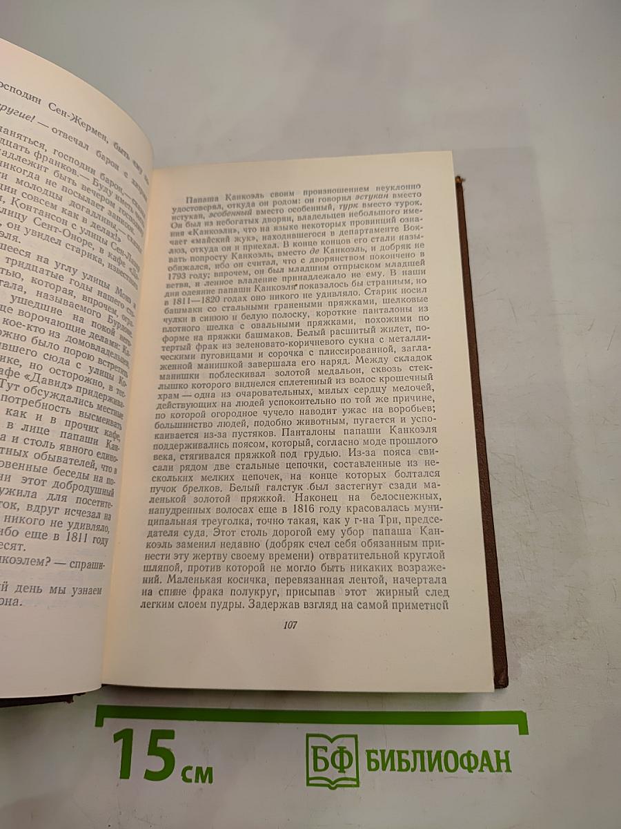 Человеческая комедия. Том 9. Блеск и нищета куртизанок. Тайны княгини де Кадиньян