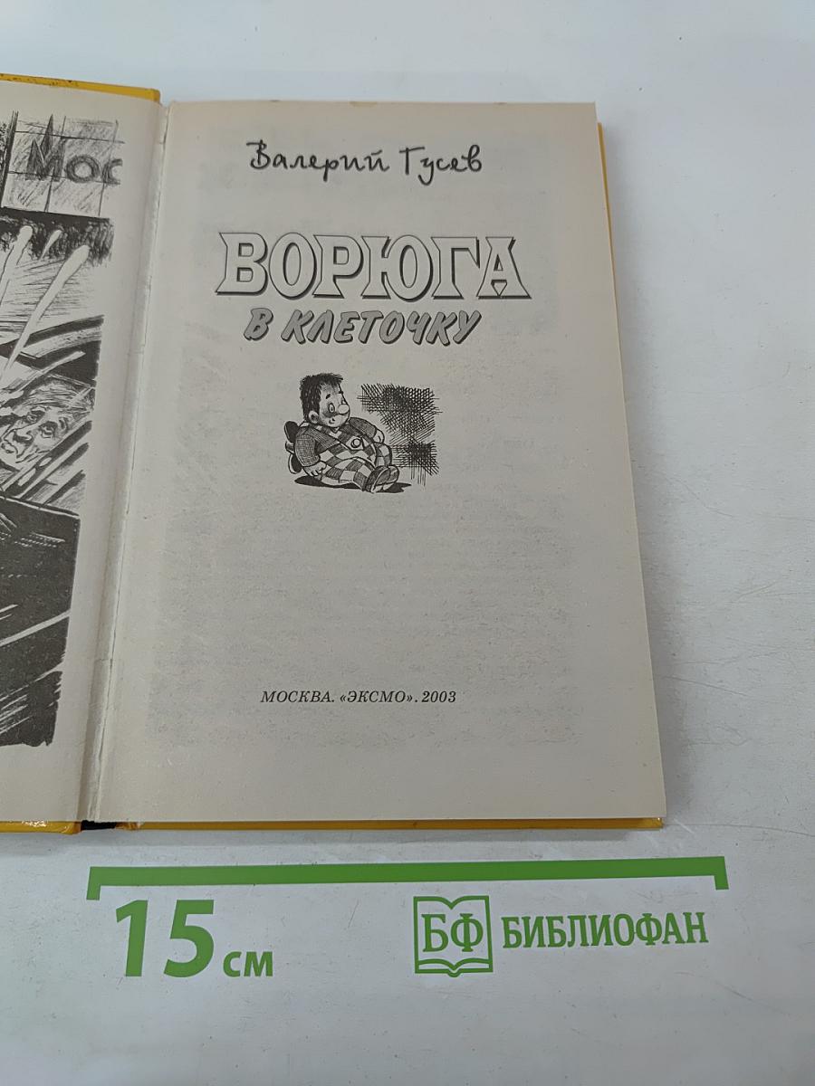 Ворюга в клеточку
