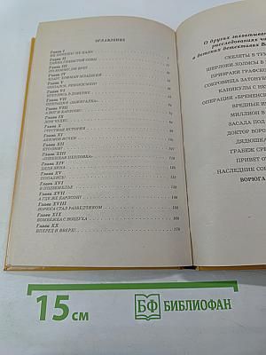 Ворюга в клеточку