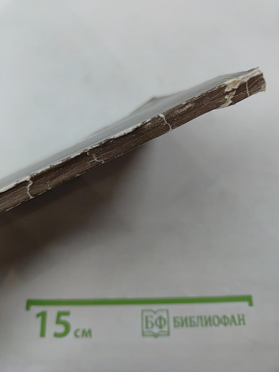 Грибное меню