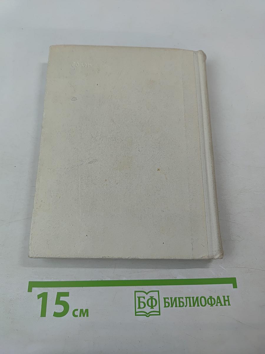 Достоевский в Петербурге