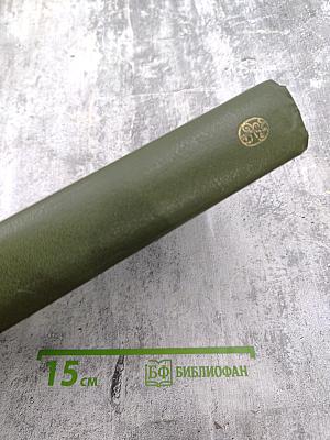 Русский очерк. 40-50-е годы XIX века