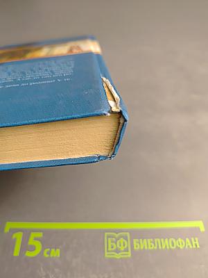 Великий герцог Мекленбурга