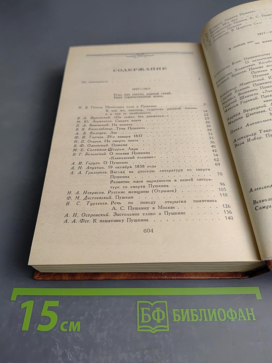 Светлое имя Пушкин