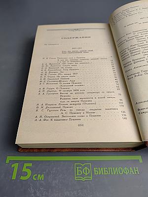 Светлое имя Пушкин