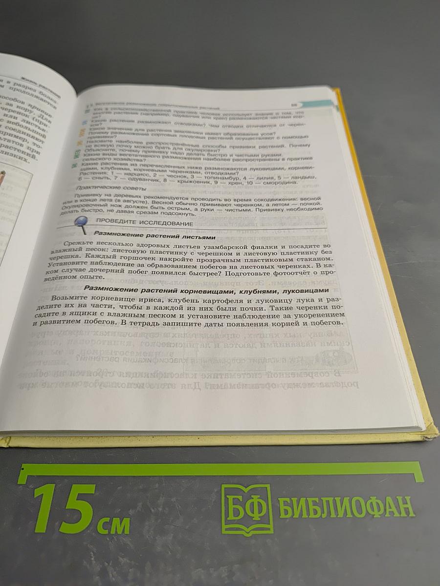 Биология 6 класс