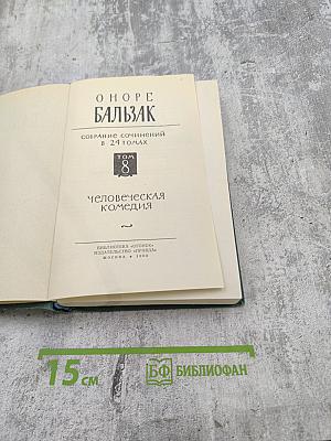 Человеческая комедия. Том 8. Собрание сочинений в 24 томах