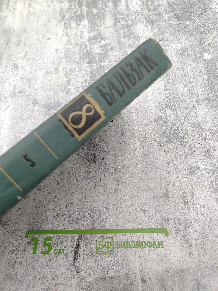 Человеческая комедия. Том 8. Собрание сочинений в 24 томах