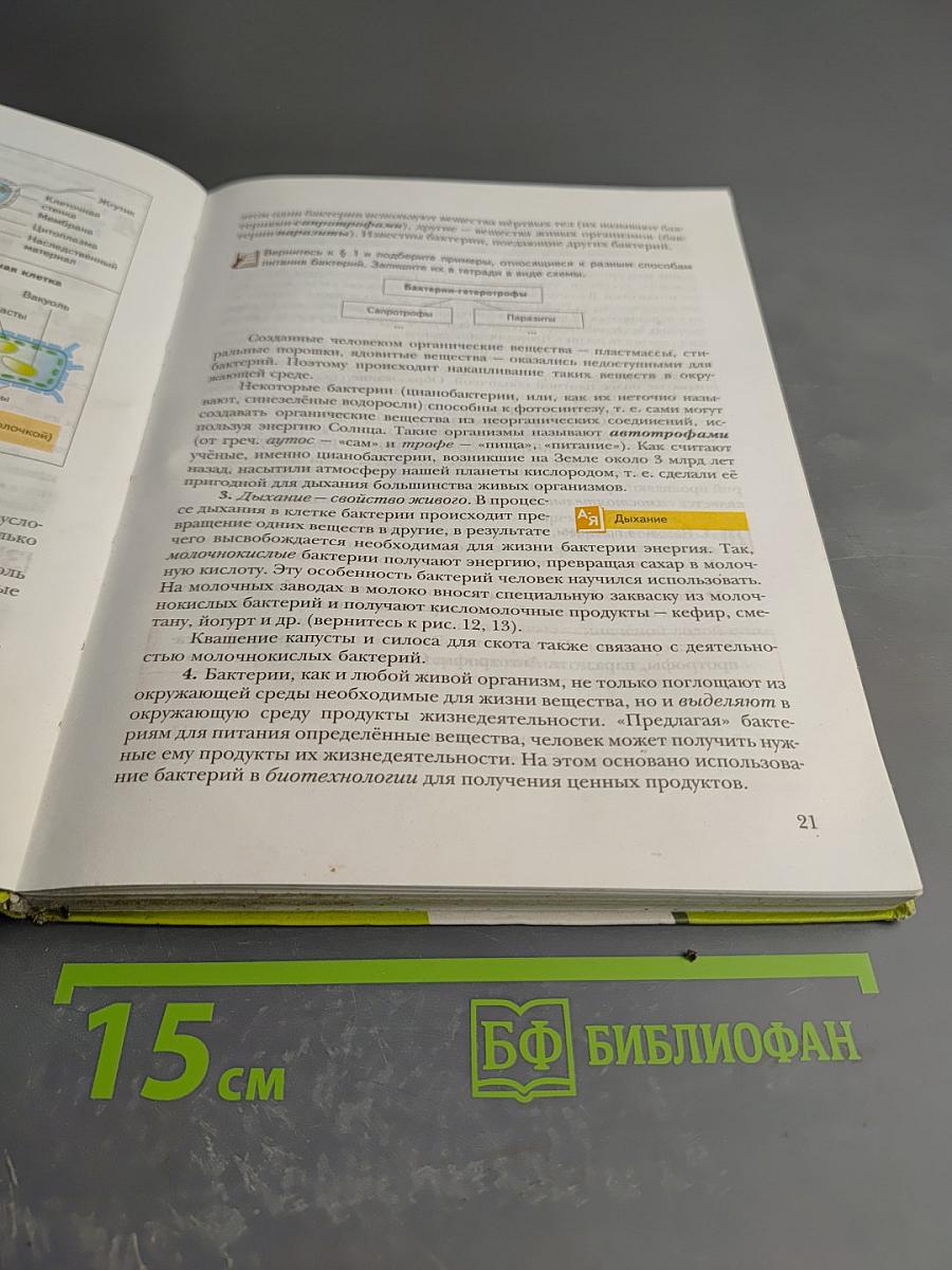 Биология. 6 класс. Живая природа