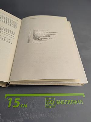 Мир Игоревой песни