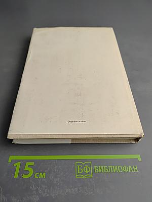 Мир Игоревой песни