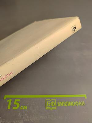 Мир Игоревой песни