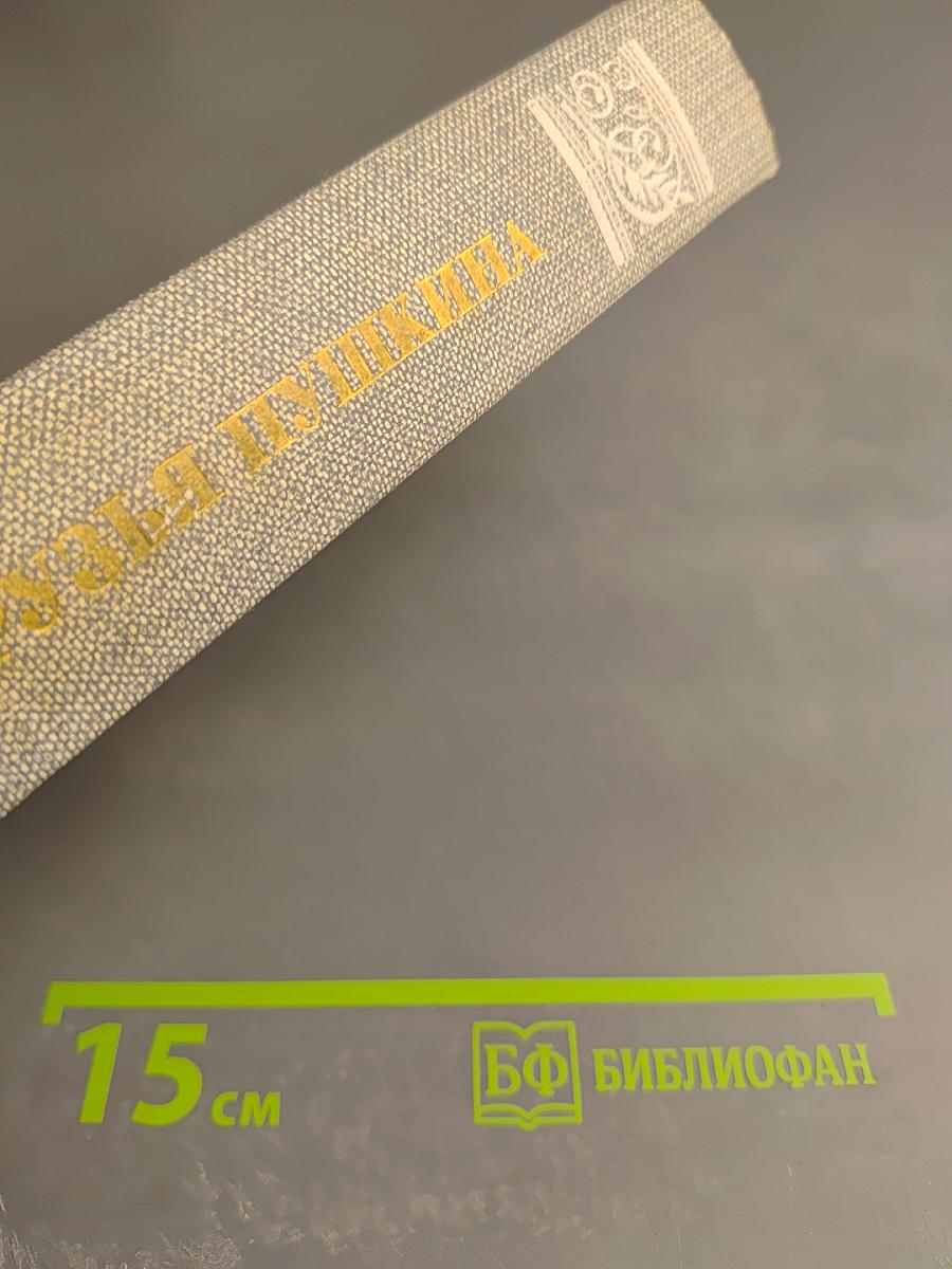 Друзья Пушкина. Том 1