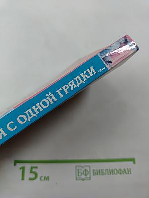 Три урожая с одной грядки