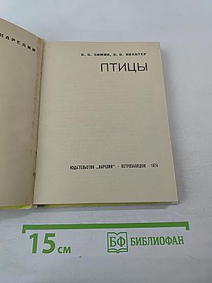 Животный мир Карелии. Птицы