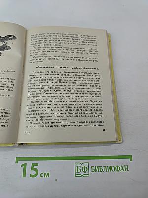 Животный мир Карелии. Птицы