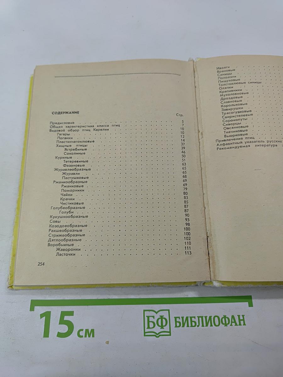 Животный мир Карелии. Птицы