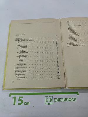 Животный мир Карелии. Птицы