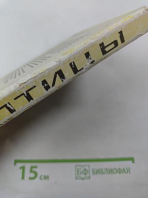 Животный мир Карелии. Птицы