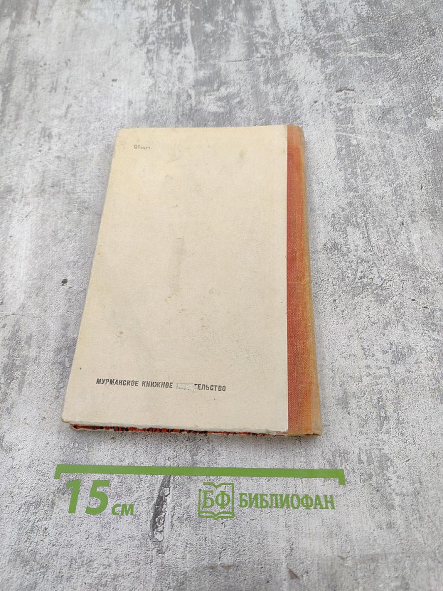 Партизаны Заполярья. Хроника отряда "Большевик Заполярья"