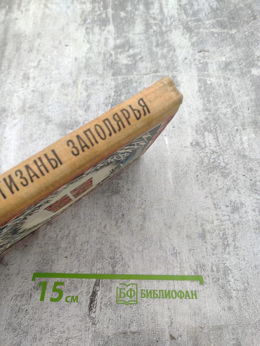 Партизаны Заполярья. Хроника отряда "Большевик Заполярья"