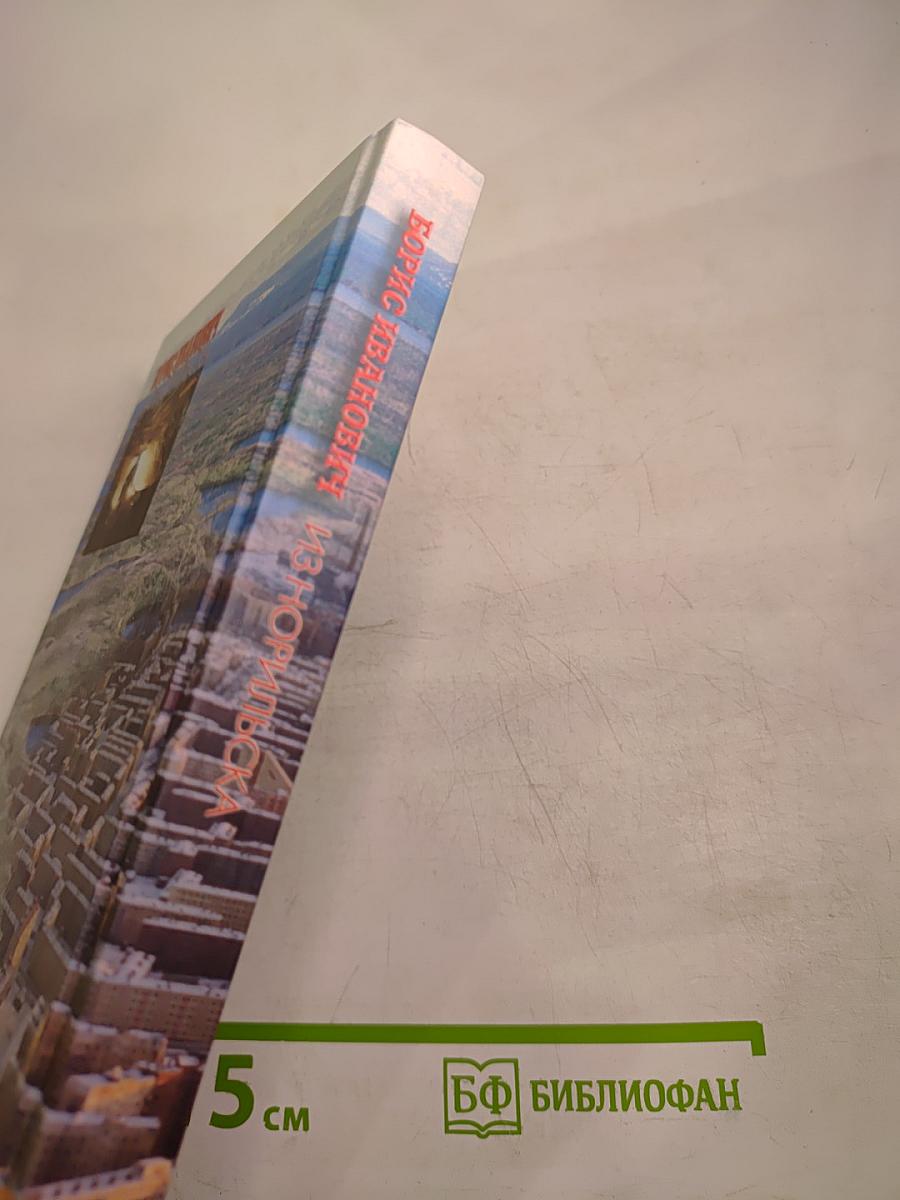 Борис Иванович из Норильска