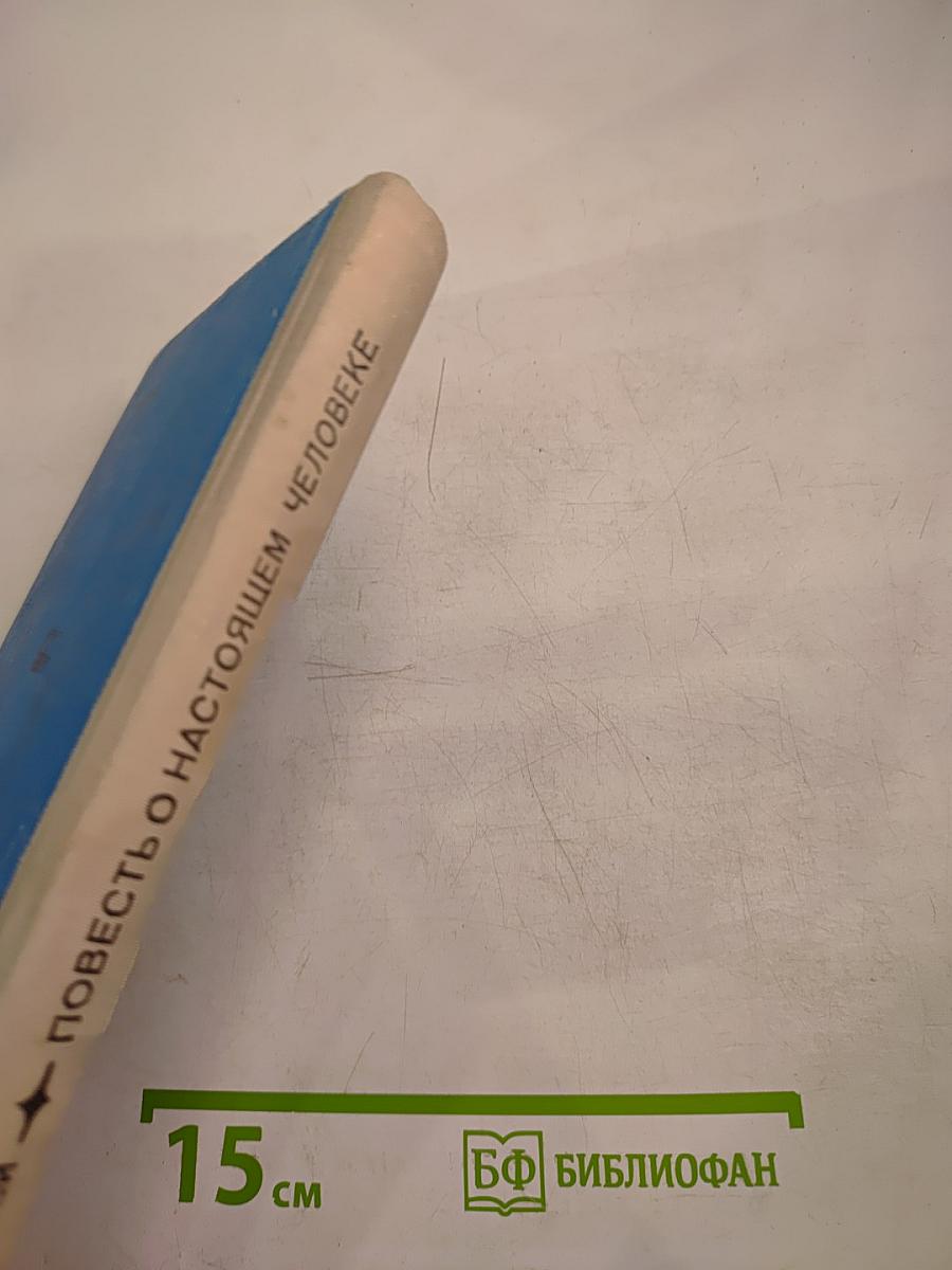Повесть о настоящем человеке