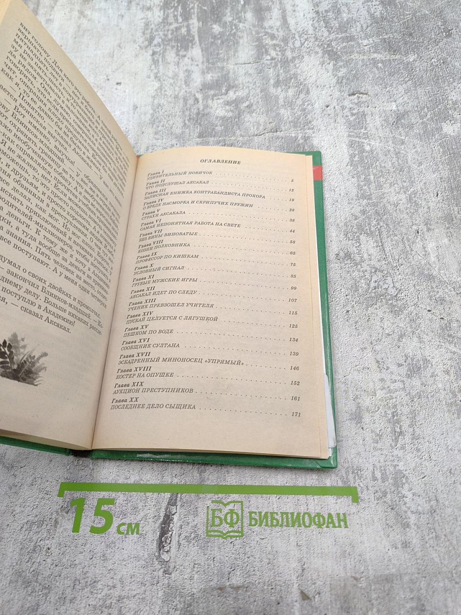 Последнее дело Блина