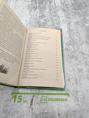 Последнее дело Блина