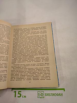 Человек-амфибия