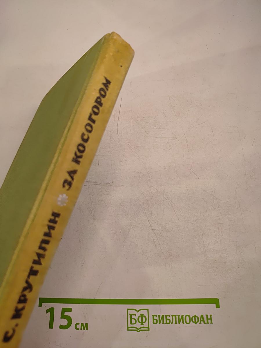 За Косогором