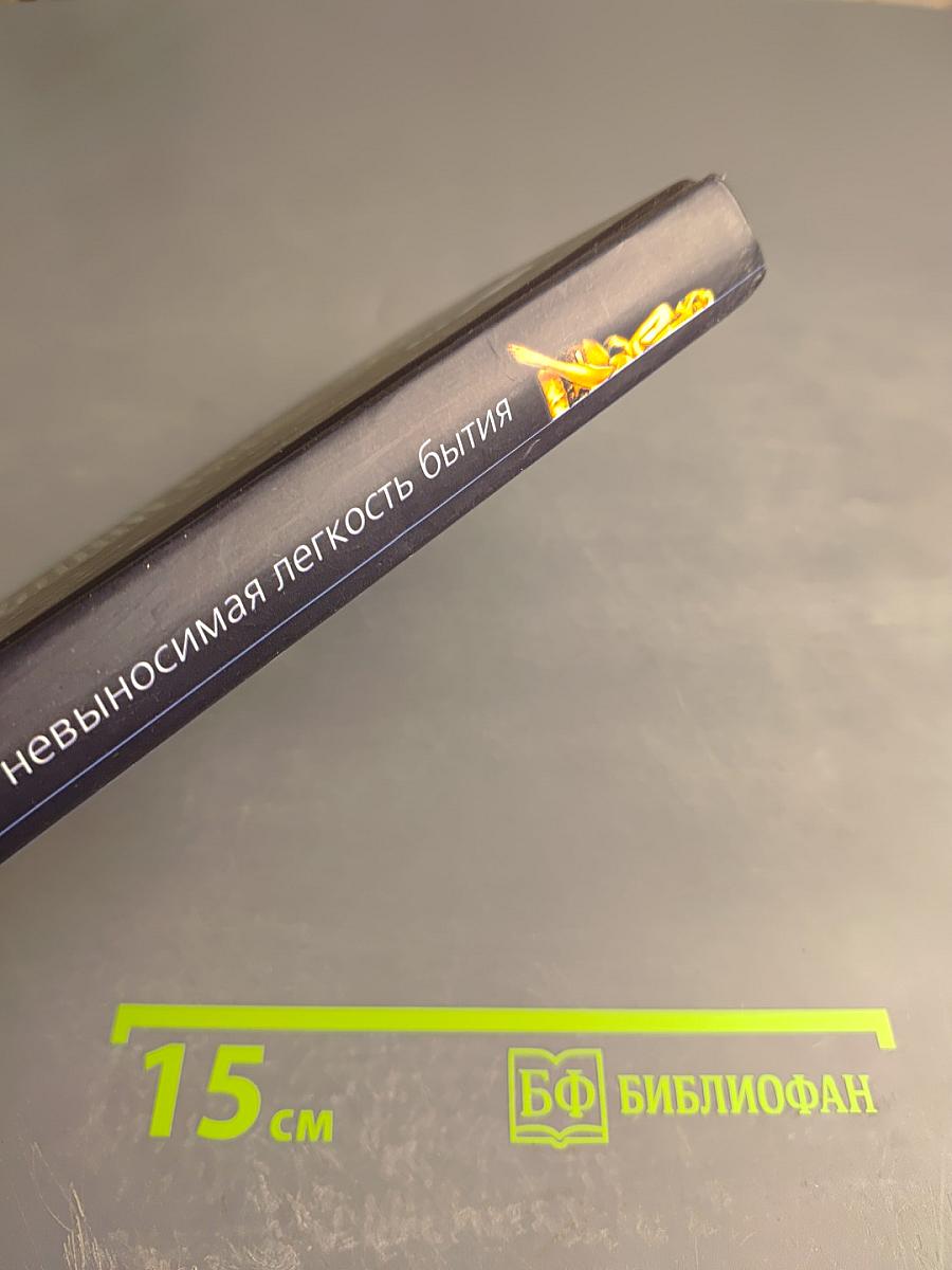 Невыносимая легкость бытия