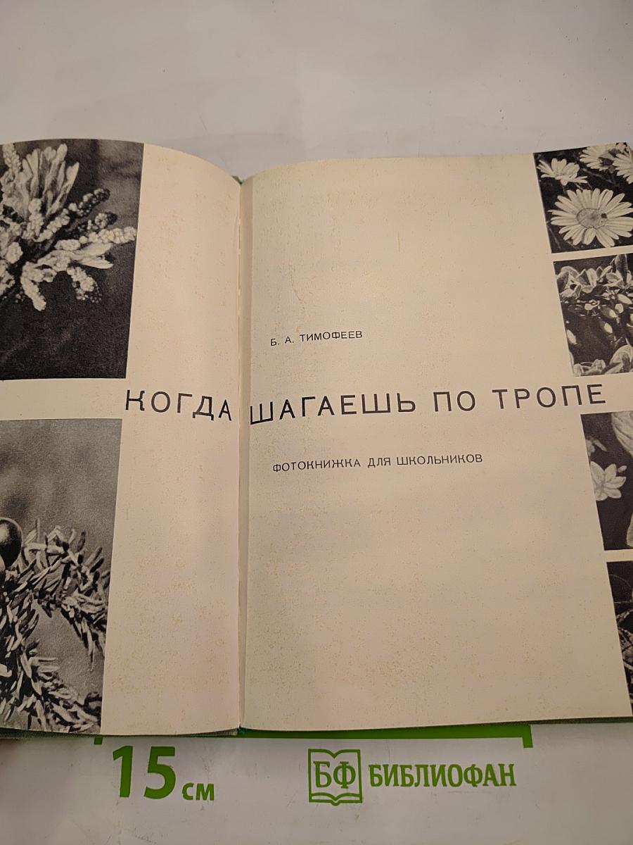 Когда шагаешь по тропе