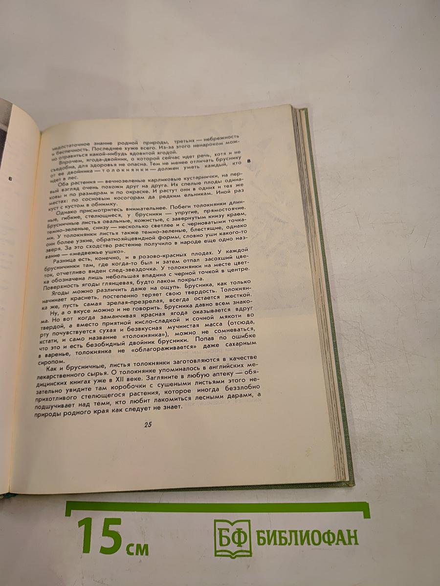 Когда шагаешь по тропе