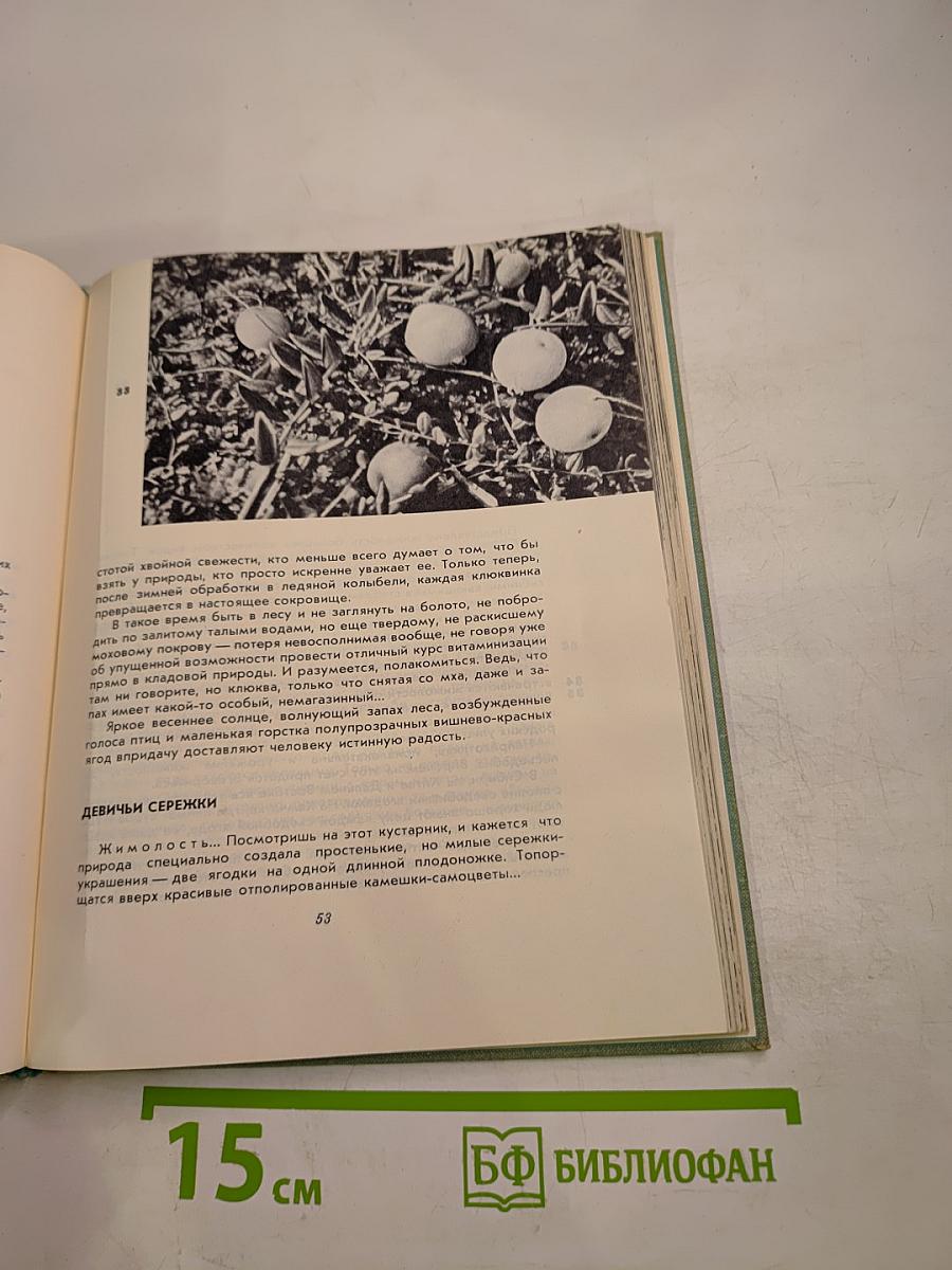 Когда шагаешь по тропе