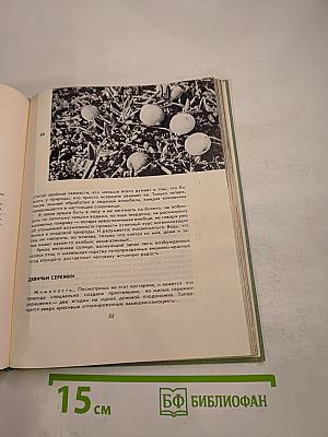 Когда шагаешь по тропе