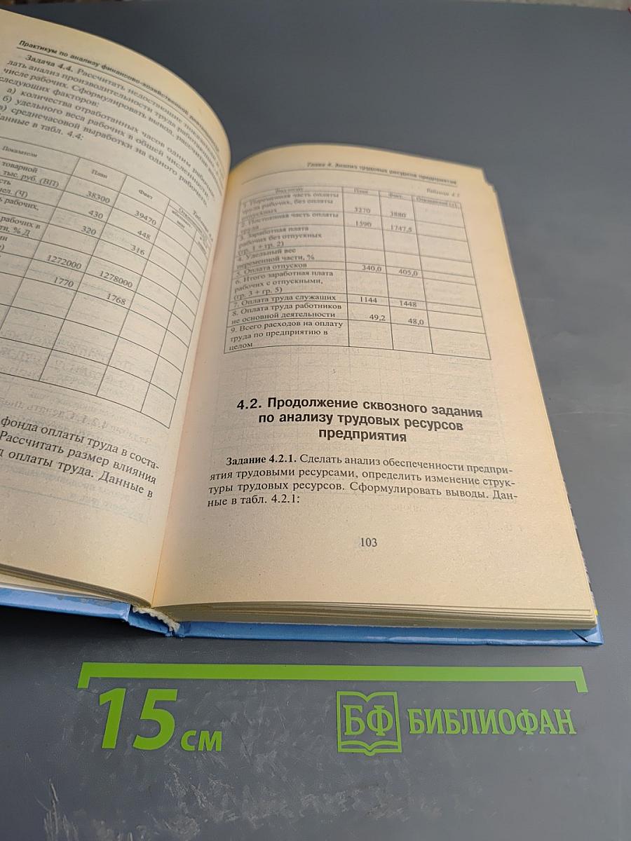 Практикум по анализу финансово-хозяйственной деятельности