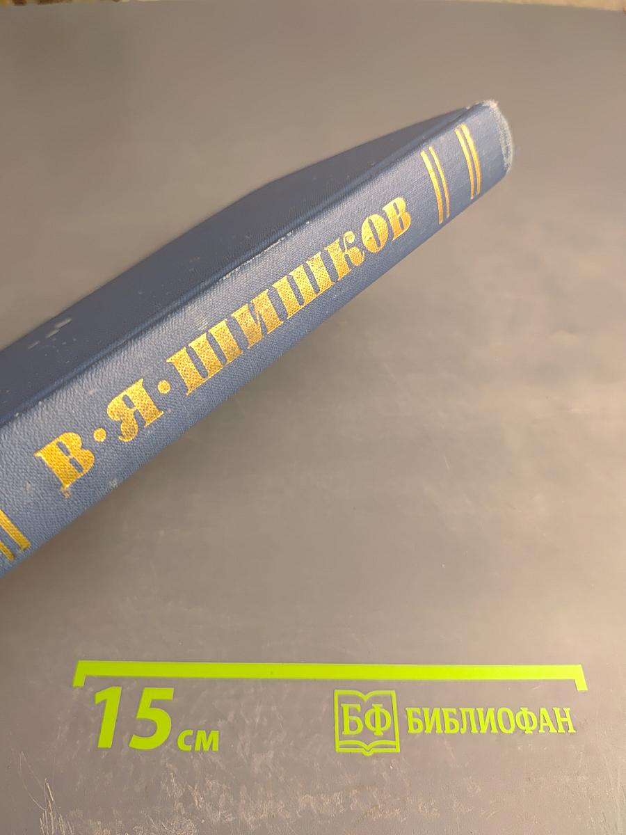 Емельян Пугачев. Том 7