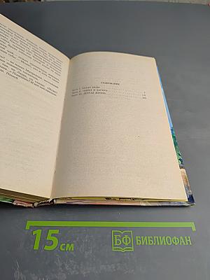 Звездный надзор