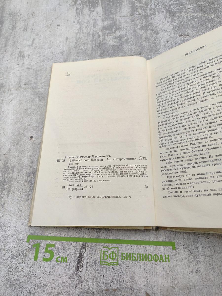 Забытый сон