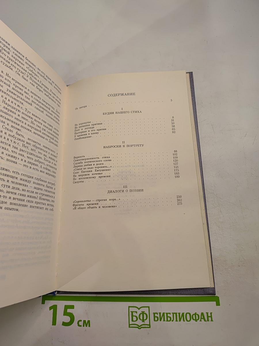 Теченье стихотворных дней. Статьи. Портреты. Диалоги
