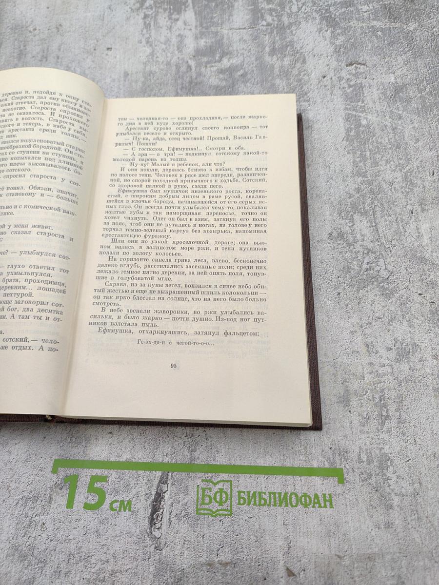 Полное собрание сочинений. Том второй. Рассказы, очерки, наброски, стихи. 1894-1896