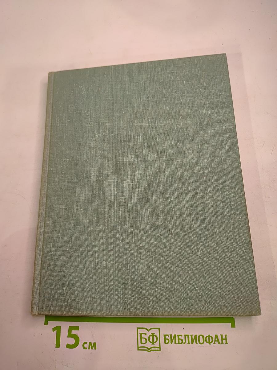 Рядом с Зимним