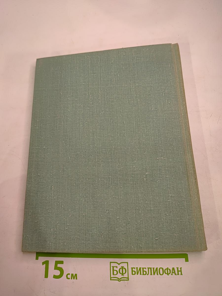 Рядом с Зимним