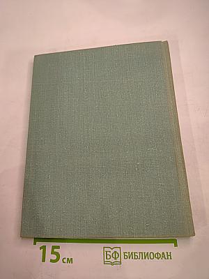 Рядом с Зимним