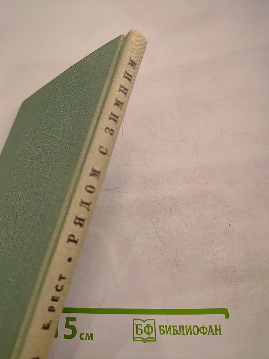 Рядом с Зимним