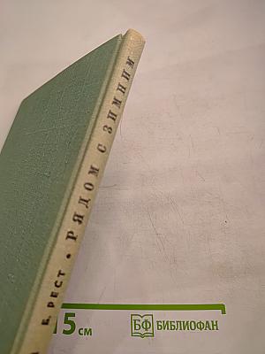 Рядом с Зимним