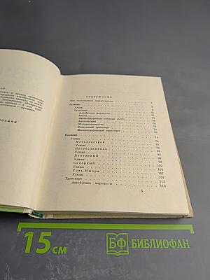 Улицы пригородов Ленинграда